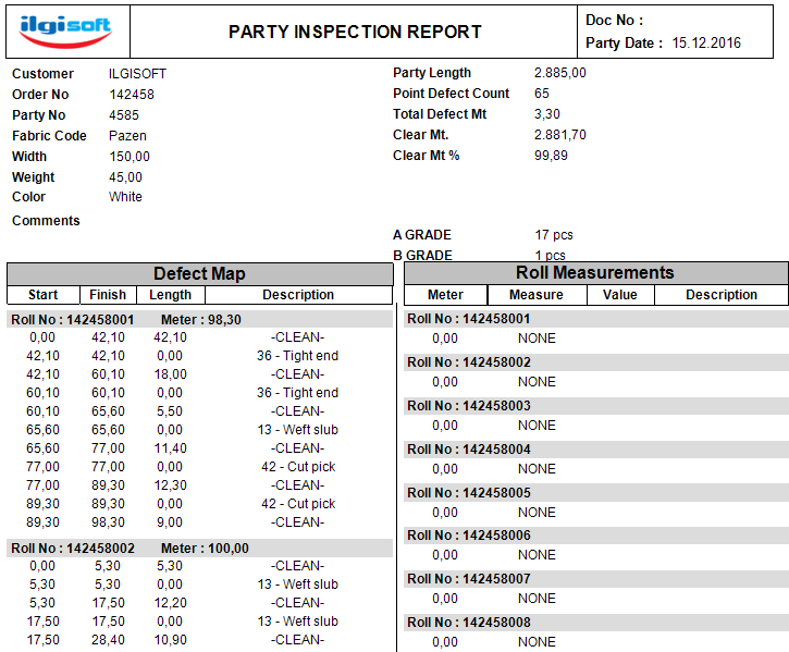 Party Inspection Report